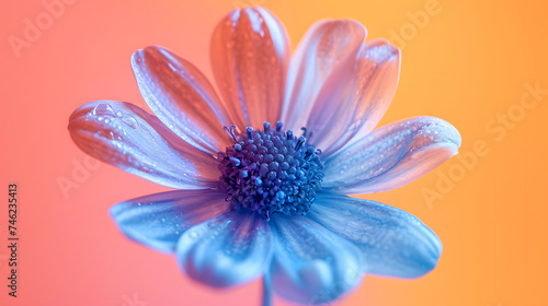 color inversion techniques to create inverted or negative versions of your flower photos