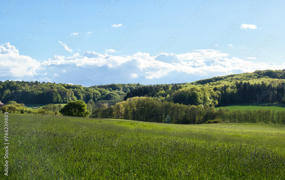 Rolling hills of green grass and trees on a cloudy spring evening near Rhineland Palatinate, Germany.