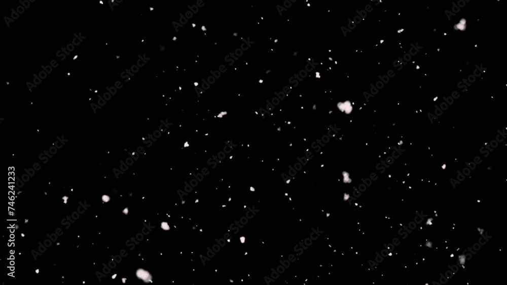 Snow season land on the ground tea tea black background. Snow season land on the ground tea tea black background.
