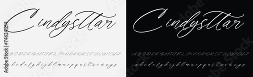 Lettering signature font isolated on grey background. brus style alphabet. Vector logo letters.