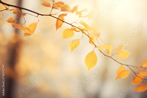 Golden Autumn Leaves on Branch with Warm Sun Flare. Seasonal Fall Beauty Concept
