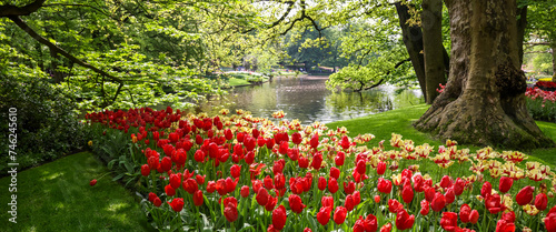 Panoramic view of Scenic Keukenhof gardens in the Netherlands. photo