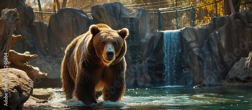 A large brown bear gracefully walks across a body of water, showcasing its majestic presence in a captivating moment.