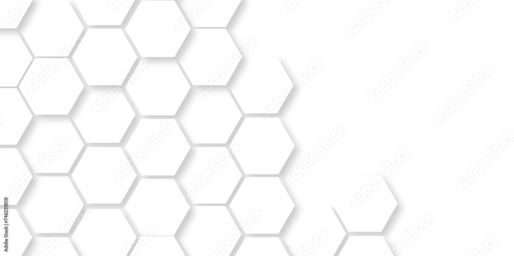 Abstract background with hexagon, modern abstract vector polygonal pattern. Futuristic abstract honeycomb technology white background. Luxury white hexagon pattern. Abstract background with hexagon, modern abstract vector polygonal pattern. Futuristic abstract honeycomb technology white background. Luxury white hexagon pattern.