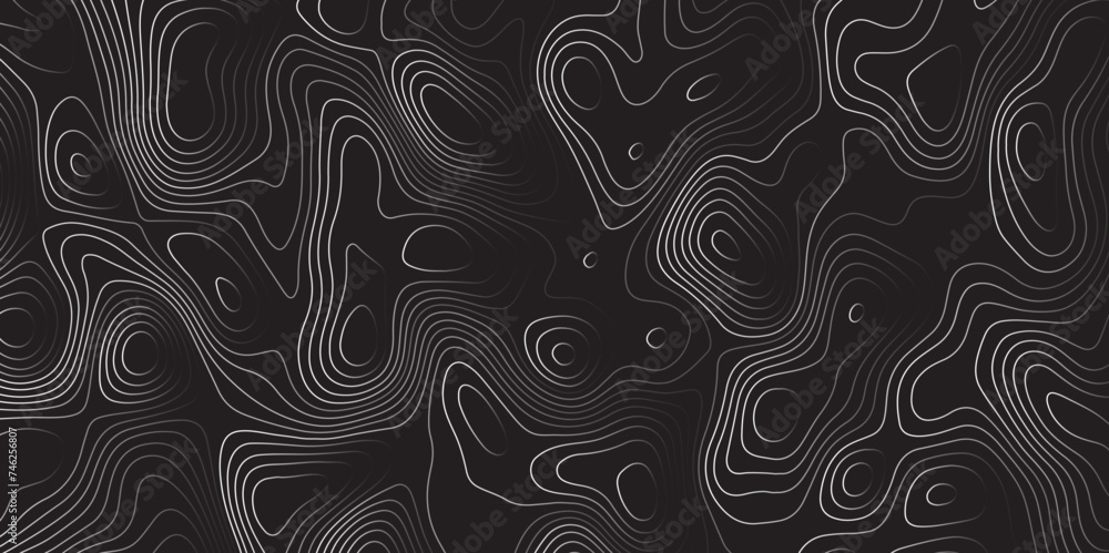 Abstracts Topographic map and block lines, contour background, block and white background with space grid Topographic geography scheme and the terrain path Outline cartography lands.
