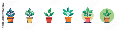 tropical leaves in stylish planters and pots., Indoor and outdoor landscape garden potted plants, potted plants collection. Set of house indoor plant