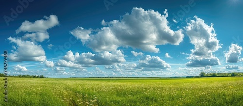 A breathtaking view of vast summer fields meeting the enchanting dance of puffy clouds across the horizon.
