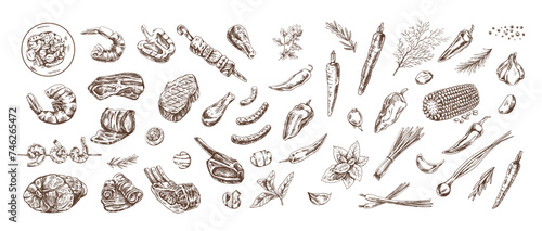 Set of hand-drawn sketches of barbecue and picnic elements, meat. For the design of the menu of restaurants and cafes, grilled food. Doodle vintage illustration. Engraved image.