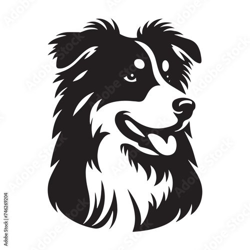 Graceful Herding: Vector Silhouette of Australian Shepherd - Capturing the Elegance and Vigilance of this Beloved Working Dog Breed. Vector Australian Shepherd silhouette.