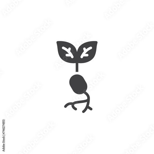 Seed sprouting and growth vector icon