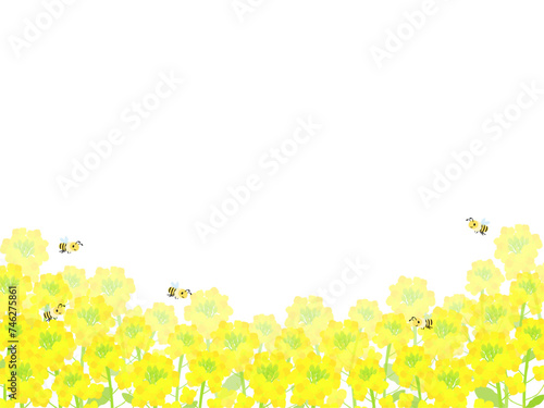 綺麗な菜の花畑にミツバチが飛んでいる背景イラスト