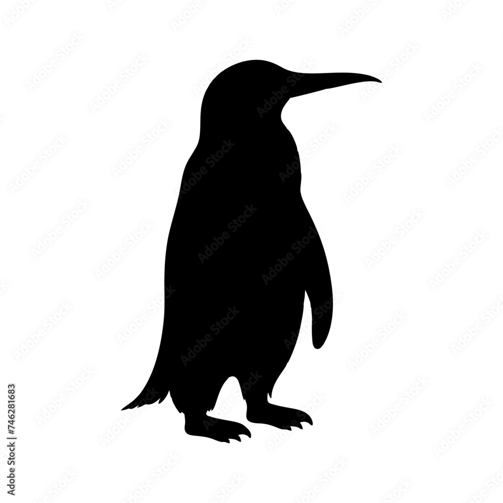 Fototapeta premium black penguin silhouette walking and skating