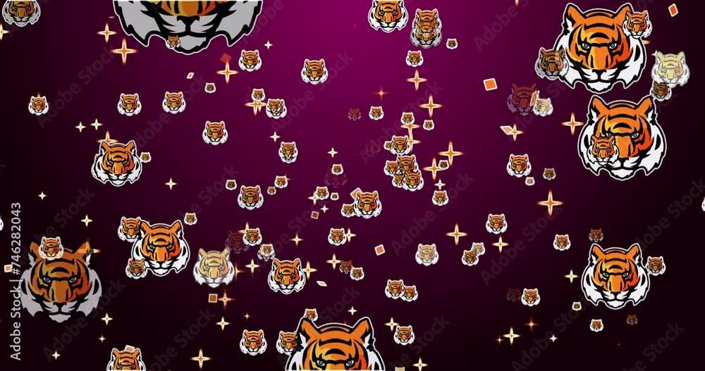 4K Tiger with a colorful star animated background. Animated Tiger on a ...