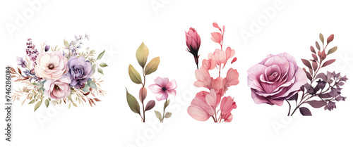 Various lively flower frame decorative elements of spring flowers 