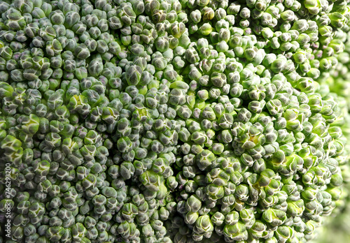 Fresh Broccoli (Brassica oleracea) vegetable detail close-up pattern texture. Fresh broccoli vegetable surface pattern.