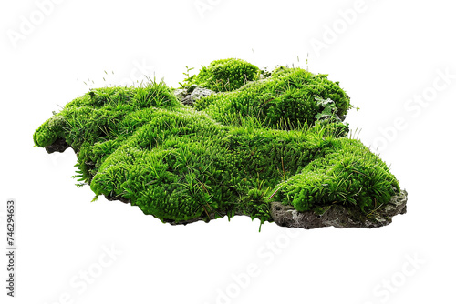 Green moss on rock isolated on white