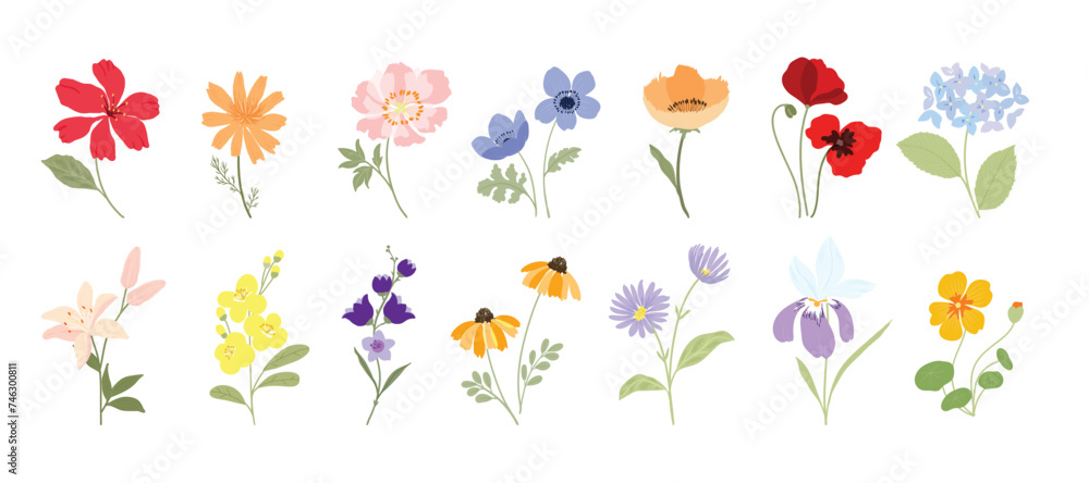 custom made wallpaper toronto digitalwatercolor arrangements with small flower. Botanical illustration minimal style.