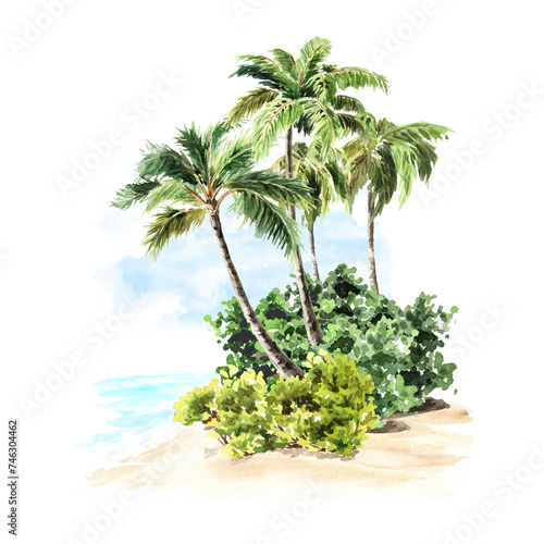 Tropical palmTrees, Hand drawn watercolor illustration, isolated on white background