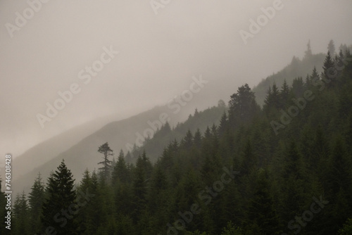 Misty Black Sea Forests Ayder Plateau    aml  hem  in  Rize  Turkey