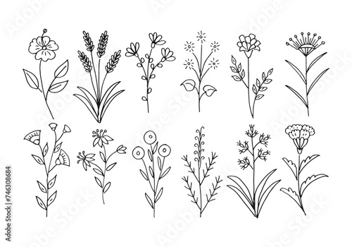 Flower doodle vector drawing. Set collection of different flower vector art illustrations.