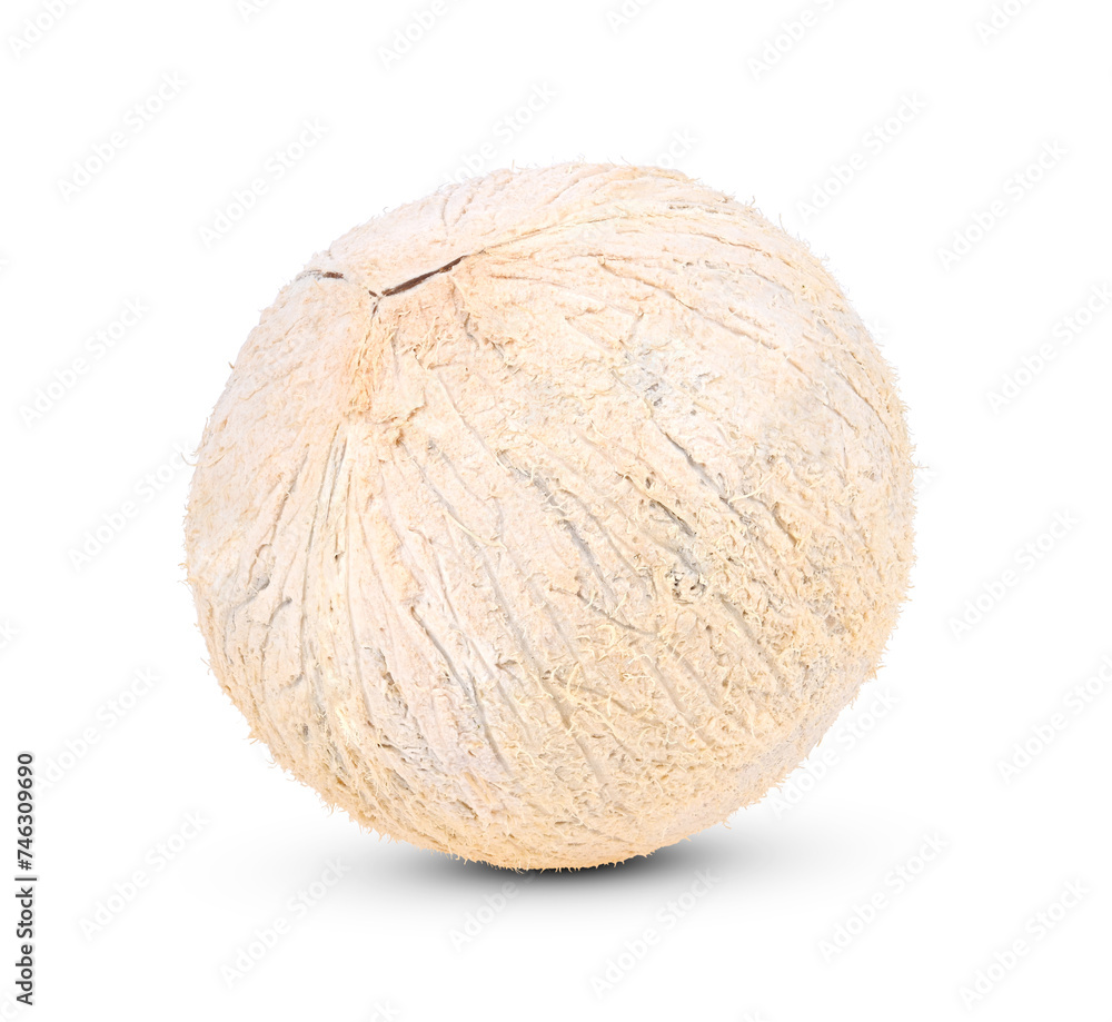 Fototapeta premium coconut isolated on white background