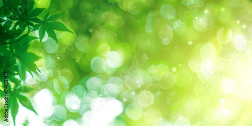  green leaves blurred light background, green Spring bokeh nature abstract background , green leaves with sunlight , banner