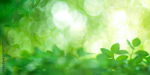  green leaves blurred light background  green Spring bokeh nature abstract background   green leaves with sunlight   banner
