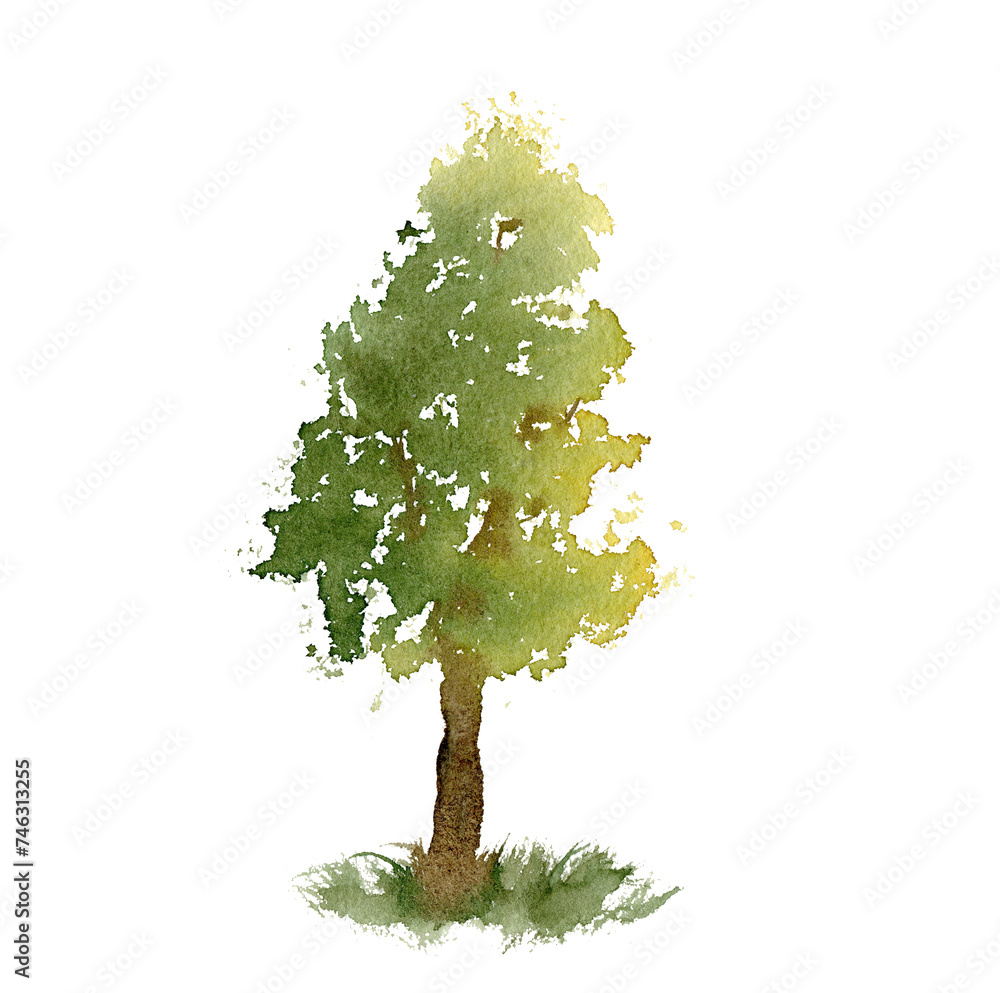 Watercolor abstract tree. Sketch hand drawn light green summer deciduous tree in the sun. Illustration on isolated white background.