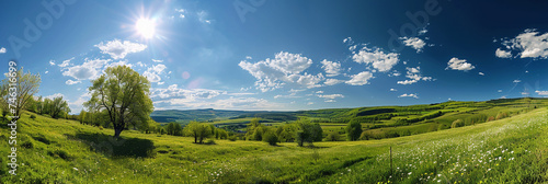 Beautiful meadow landscape in summer © FATHOM