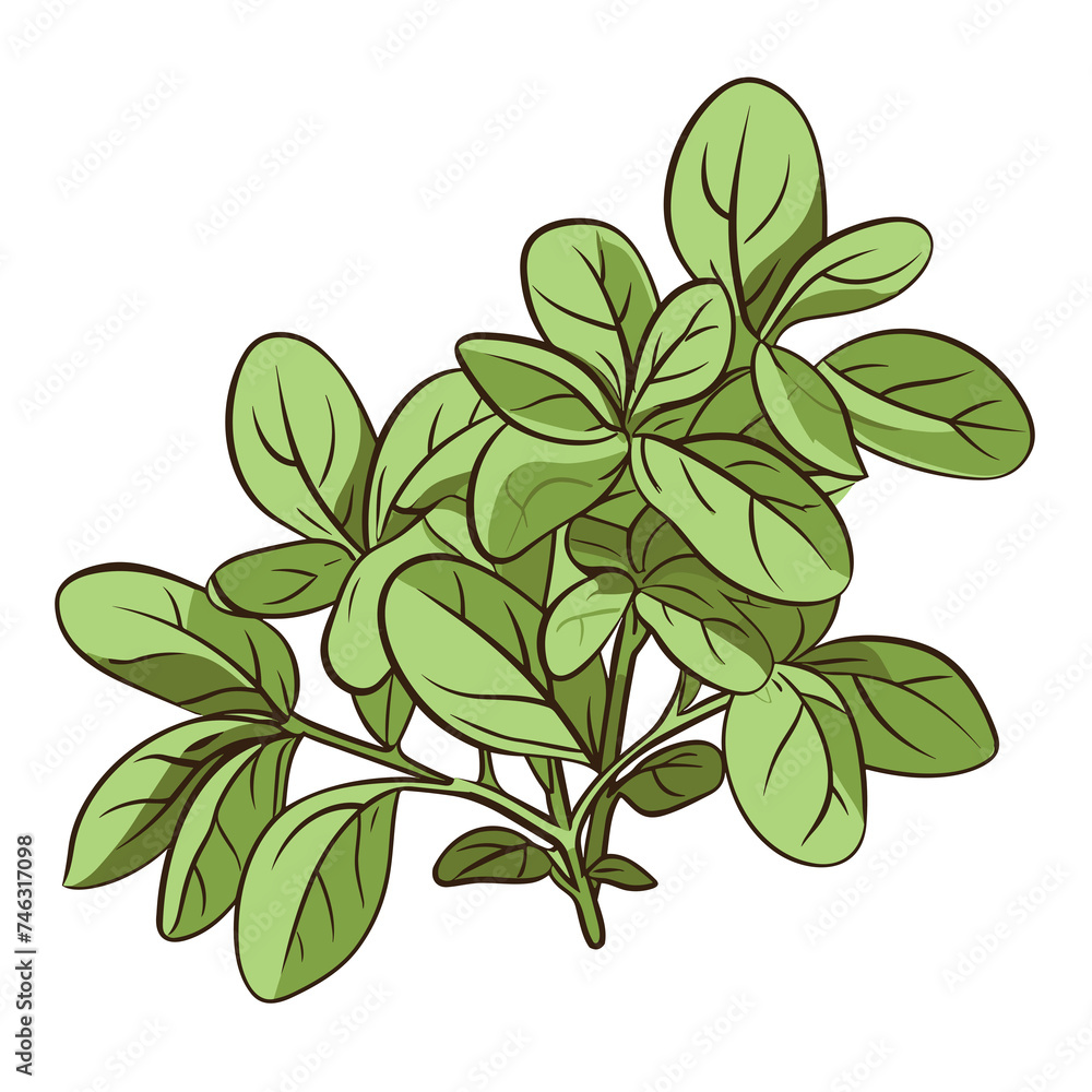 Vegetable icon png - minimalist simple fresh vegetable illustration clipart icon vector jpg png white background that have some abstact clear vibes. Vegetable icon png - minimalist simple fresh vegetable illustration clipart icon vector jpg png white background that have some abstact clear vibes.
