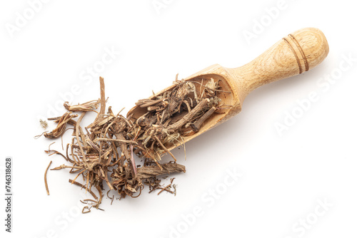 Top view of a wooden scoop filled with Organic Pellitory roots (Anacyclus pyrethrum). Isolated on a white background. photo