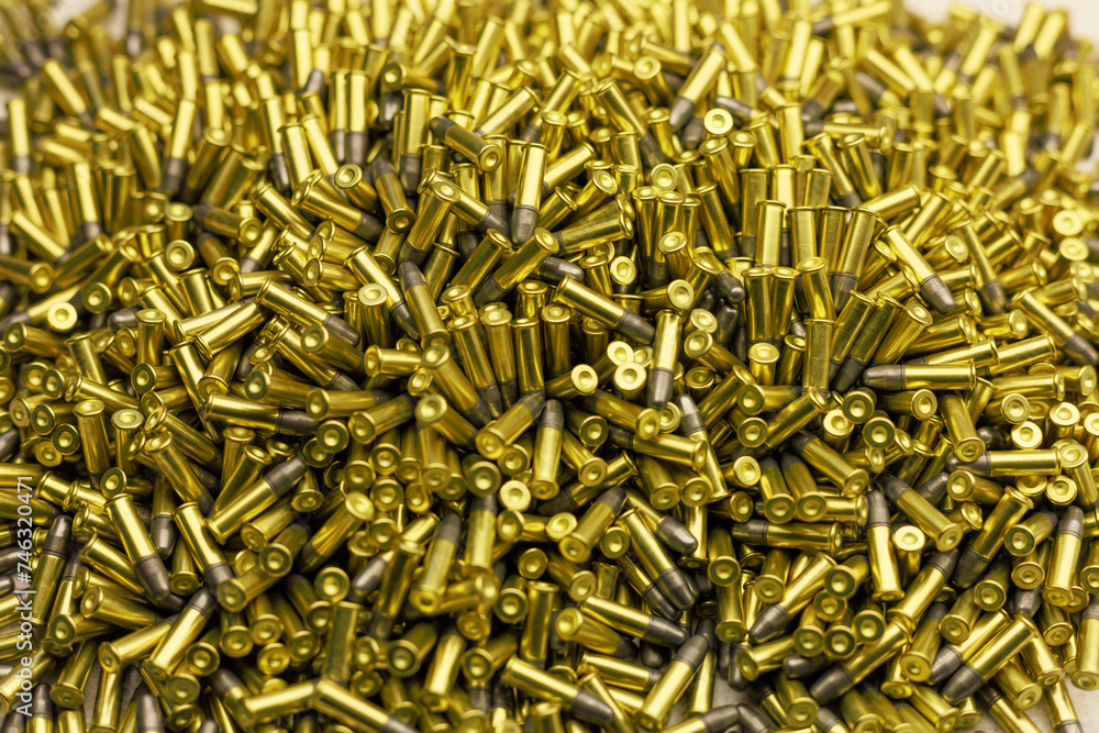 Bullet - important component of firearm ammunition. Bullet - important component of firearm ammunition.
