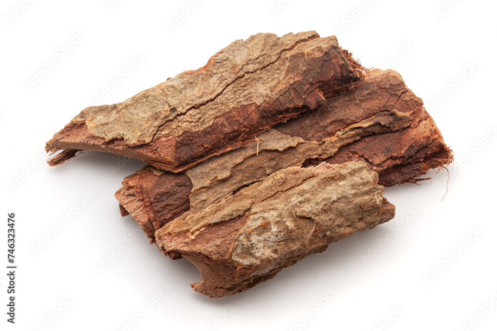 Closeup of Arjuna Barks (terminalia arjuna), isolated on white background. Closeup of Arjuna Barks (terminalia arjuna), isolated on white background.