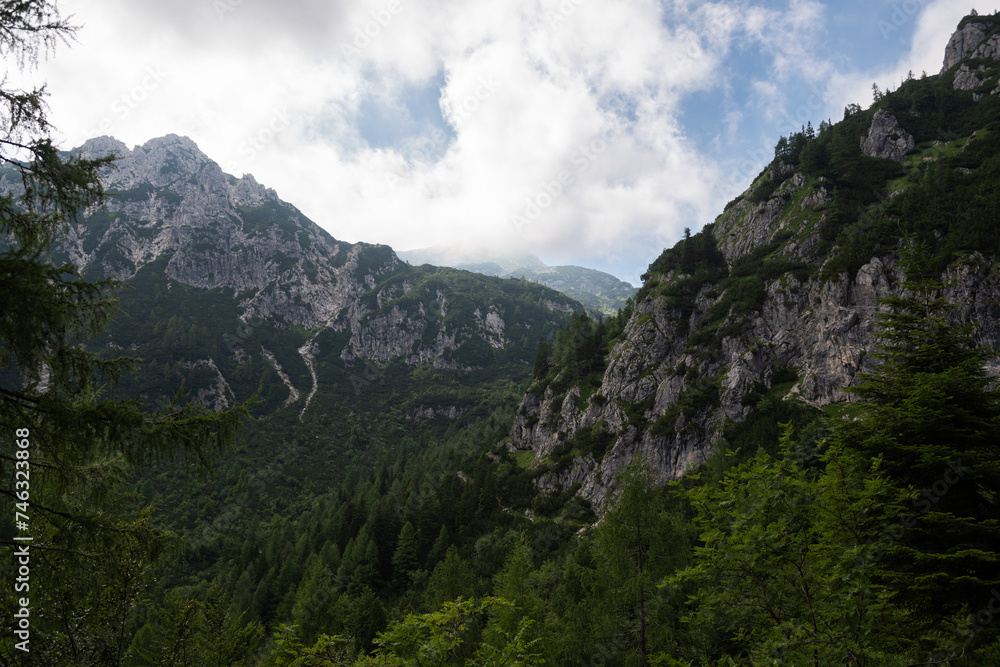 Lush, green canyon in the Julian Alps of Slovenia