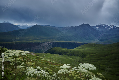 Caucasus mountains nature unveils its breathtaking beauty in every season. Vibrant wildflowers blooming in alpine meadows to majestic mountains towering against the azure sky © angel_nt