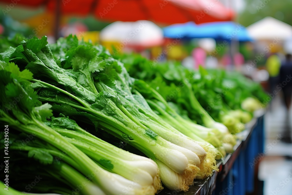 Fresh green onions and vibrant parsley. a close-up snapshot of organic garden herbs Fresh green onions and vibrant parsley. a close-up snapshot of organic garden herbs