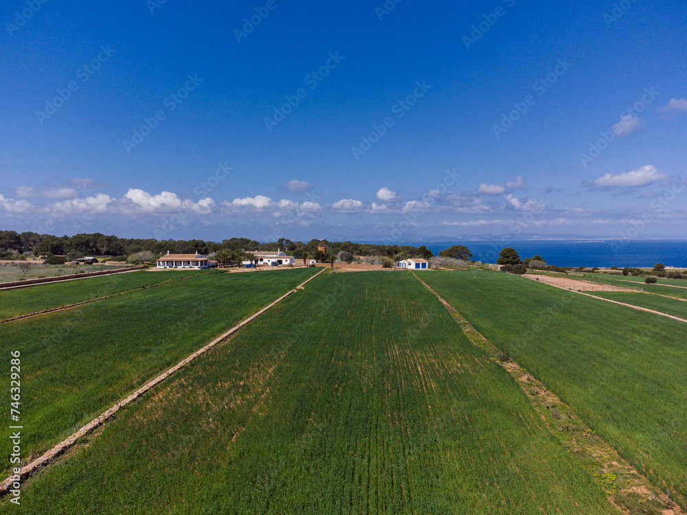 cultivation field managed by the cooperative of Formentera, La Mola, Formentera, Pitiusas Islands, Balearic Community, Spain