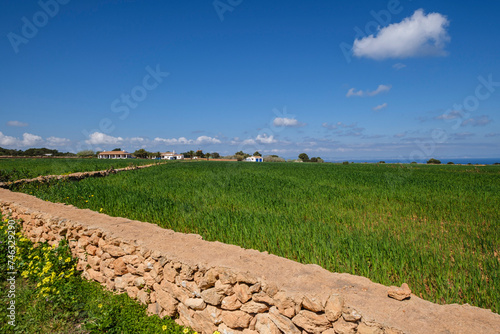 cultivation field managed by the cooperative of Formentera  La Mola  Formentera  Pitiusas Islands  Balearic Community  Spain