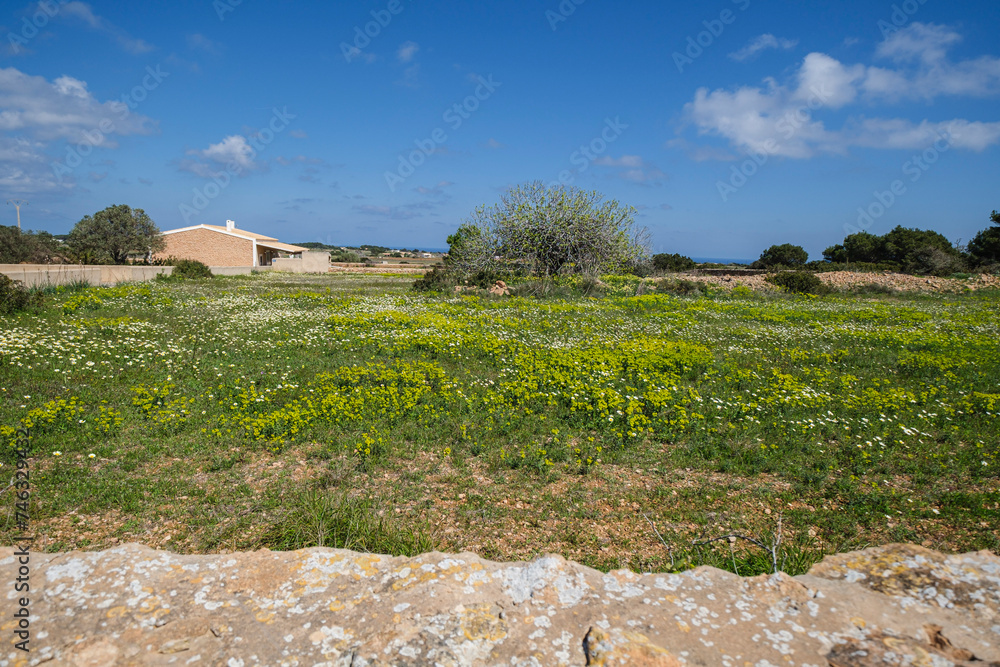 green route on La Mola, Formentera, Pitiusas Islands, Balearic Community, Spain green route on La Mola, Formentera, Pitiusas Islands, Balearic Community, Spain