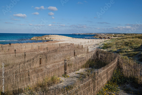 barriers for dune protection, Llevant beach, Formentera, Pitiusas Islands, Balearic Community, Spain