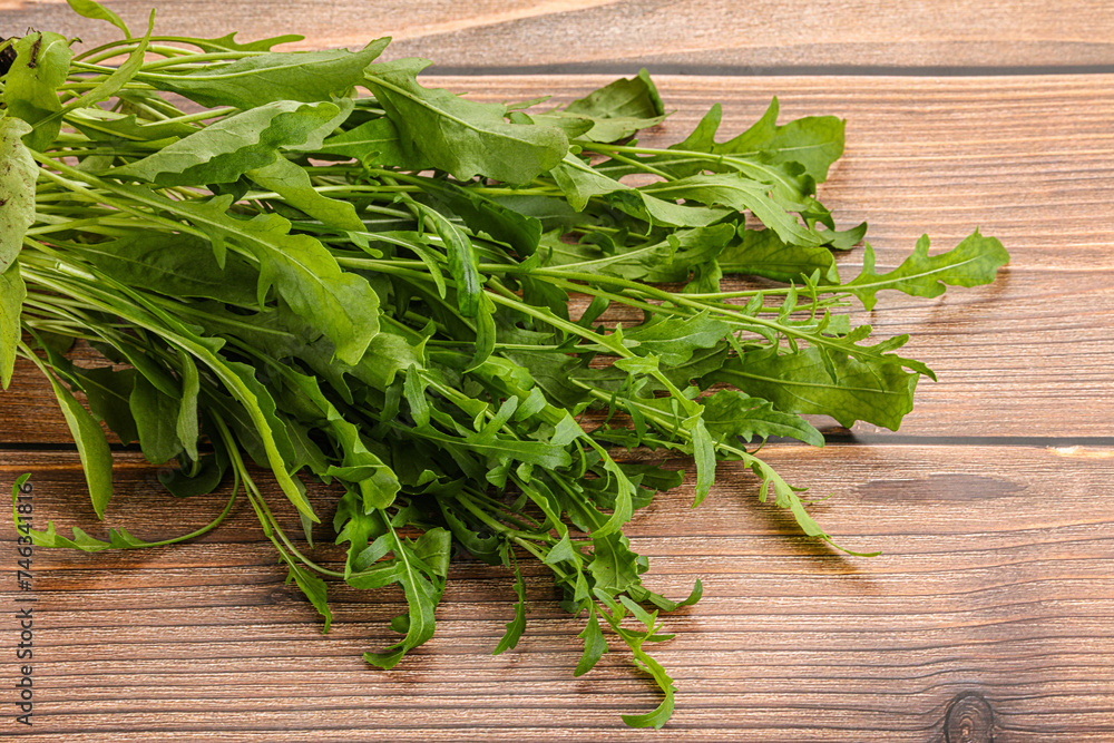 Fresh tasty natural organic rucola Fresh tasty natural organic rucola