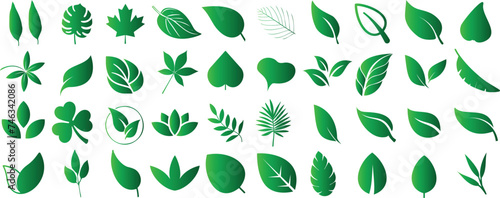 Green leaf vector icons, diverse leaf shapes for environmental, organic themes. Perfect for nature inspired designs, natural aesthetics, eco friendly and botanical branding