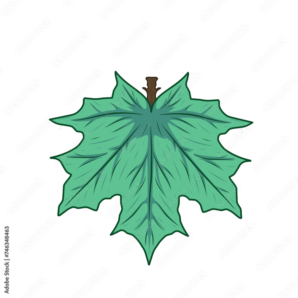 Fototapeta premium vector image of turquoise blue broad leaves