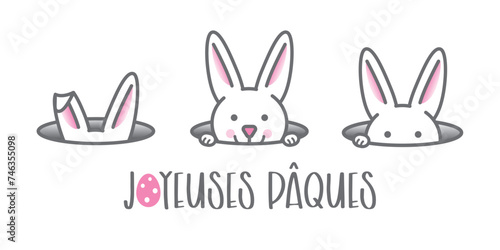 Lapin de Pâques - Joyeuses Pâques en français photo