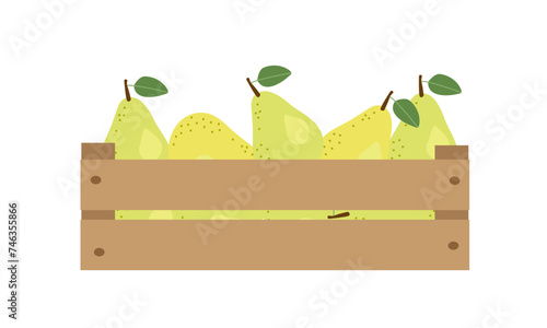 Pears. Wooden box with pears. Ripe pear fruits in a box. Fresh garden fruits. Juicy pears in a wooden box. Vector illustration isolated on a white background, for your design.