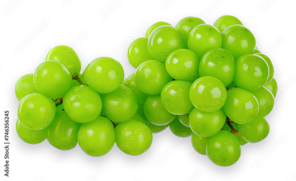 Grapes isolated on the white background Grapes isolated on the white background