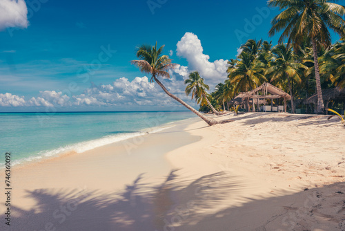 Paradise beach in the caribbean