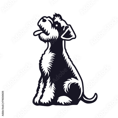 Miniature Schnauzer sitting looking up illustration Vector

