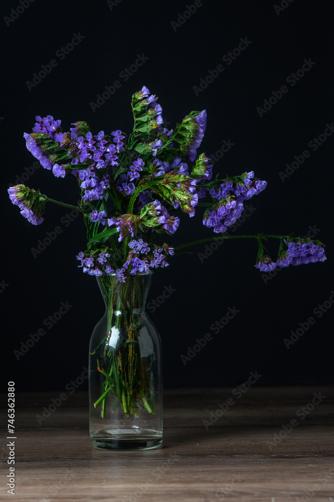 custom made wallpaper toronto digitalKermek, limonium, statice, is a popular flower in the Mediterranean. 1