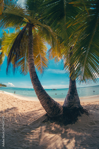 Paradise beach in the caribbean with wood house in the tropical world in dominican republic